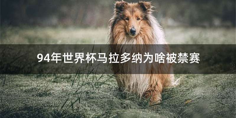 94年世界杯马拉多纳为啥被禁赛