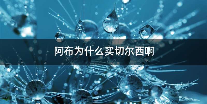 阿布为什么买切尔西啊