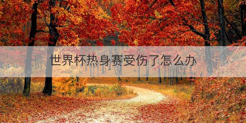 世界杯热身赛受伤了怎么办