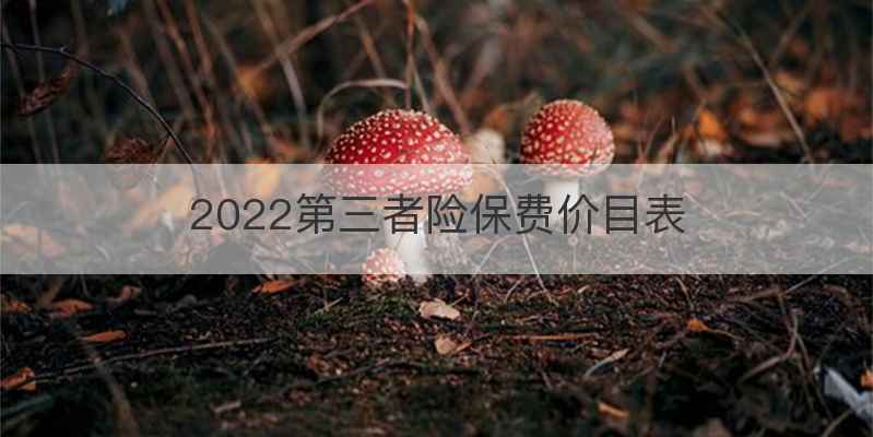 2022第三者险保费价目表