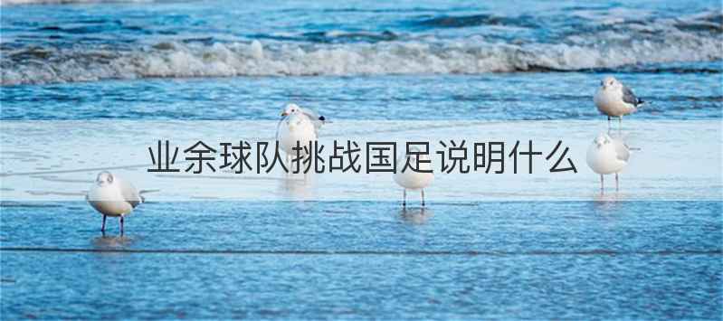 业余球队挑战国足说明什么