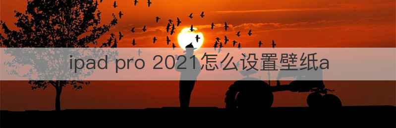 ipad pro 2021怎么设置壁纸a