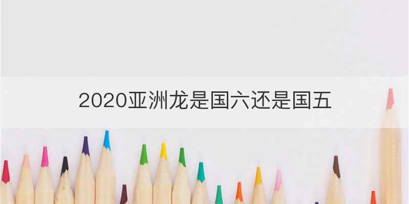 2020亚洲龙是国六还是国五