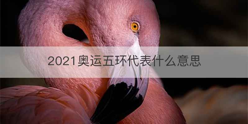 2021奥运五环代表什么意思