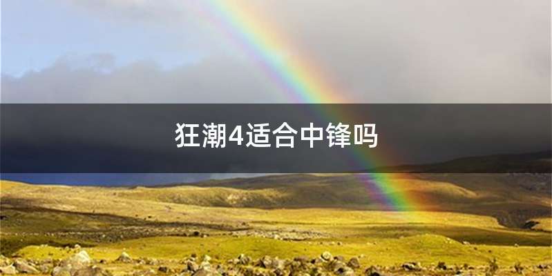 狂潮4适合中锋吗