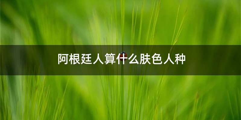 阿根廷人算什么肤色人种