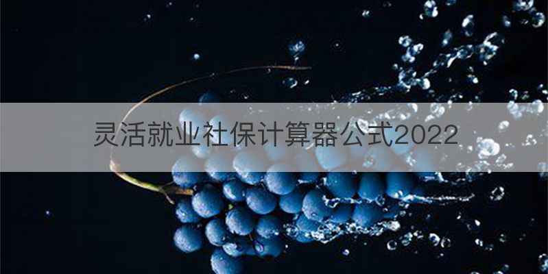 灵活就业社保计算器公式2022