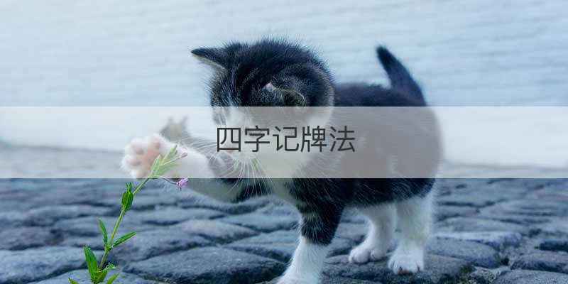 四字记牌法