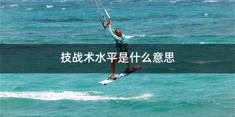 技战术水平是什么意思