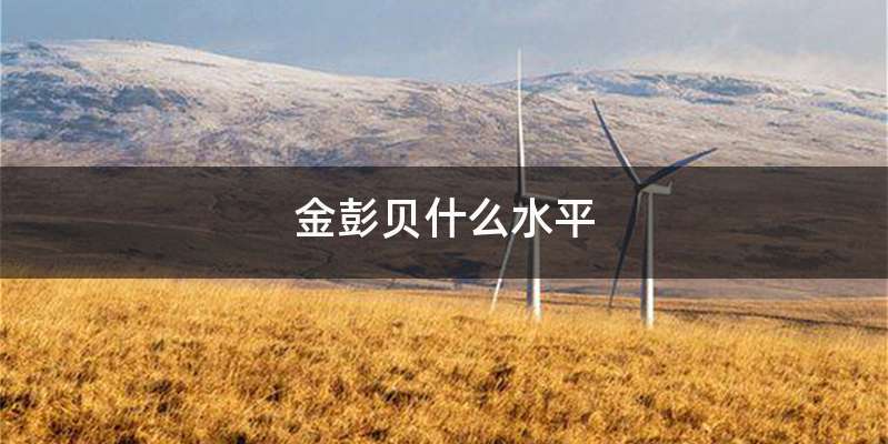 金彭贝什么水平