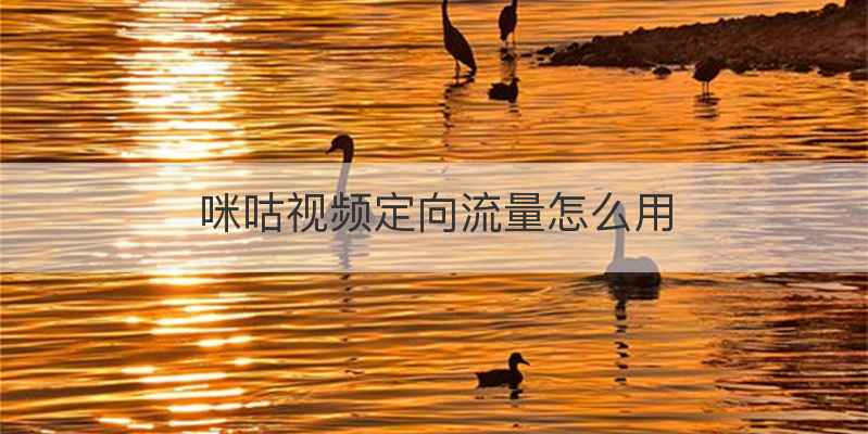 咪咕视频定向流量怎么用
