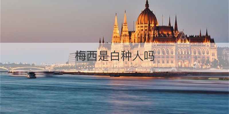 梅西是白种人吗