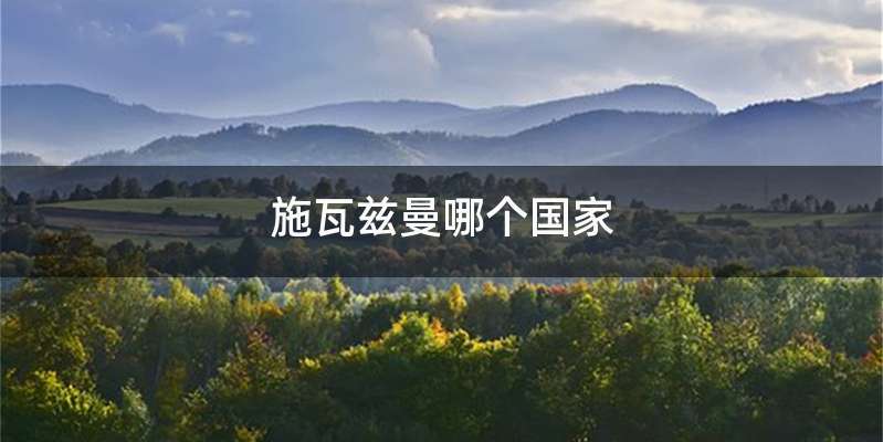 施瓦兹曼哪个国家