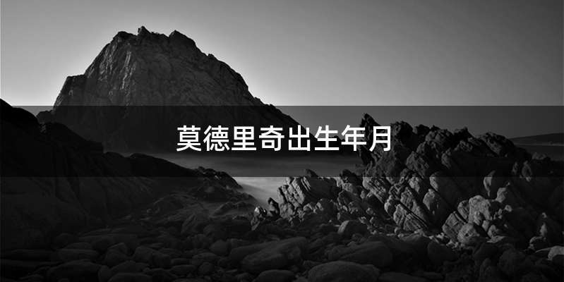 莫德里奇出生年月