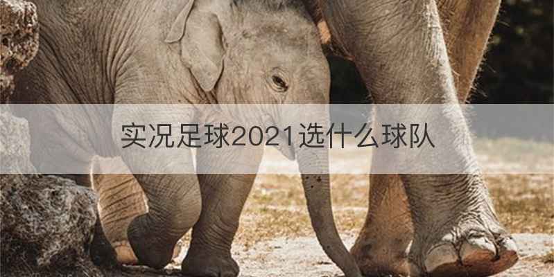 实况足球2021选什么球队