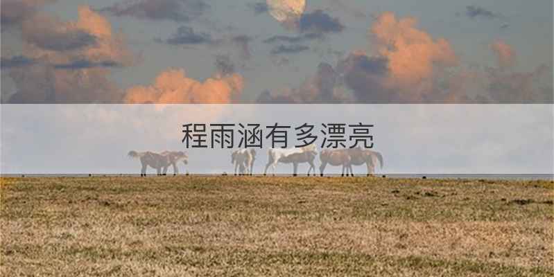 程雨涵有多漂亮