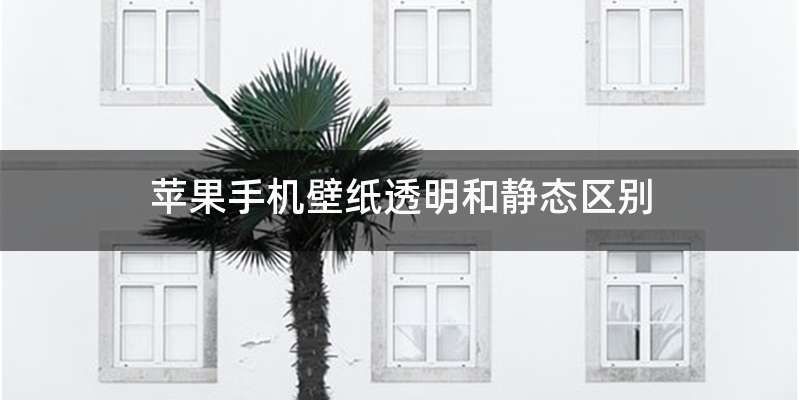 苹果手机壁纸透明和静态区别