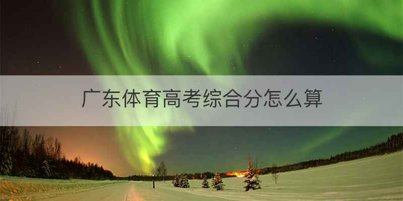 广东体育高考综合分怎么算
