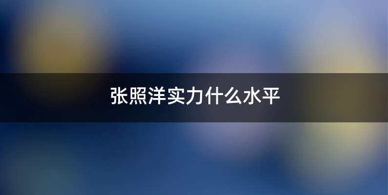 张照洋实力什么水平