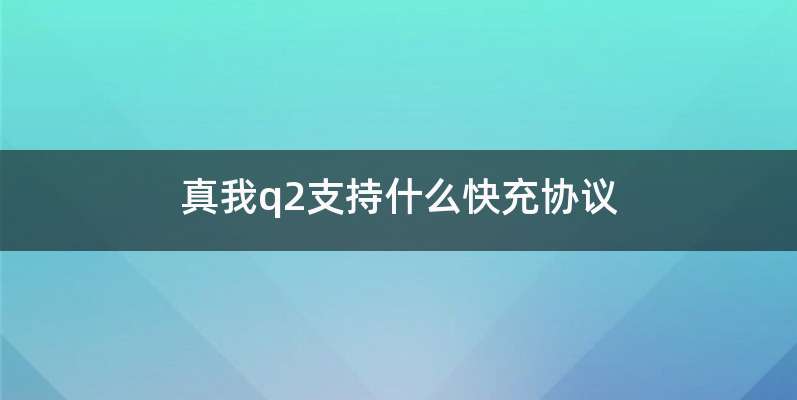 真我q2支持什么快充协议