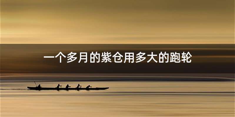 一个多月的紫仓用多大的跑轮