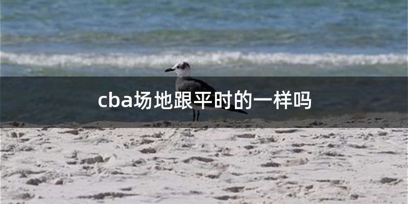 cba场地跟平时的一样吗