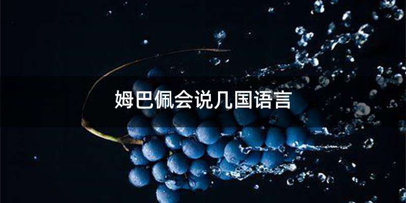 姆巴佩会说几国语言