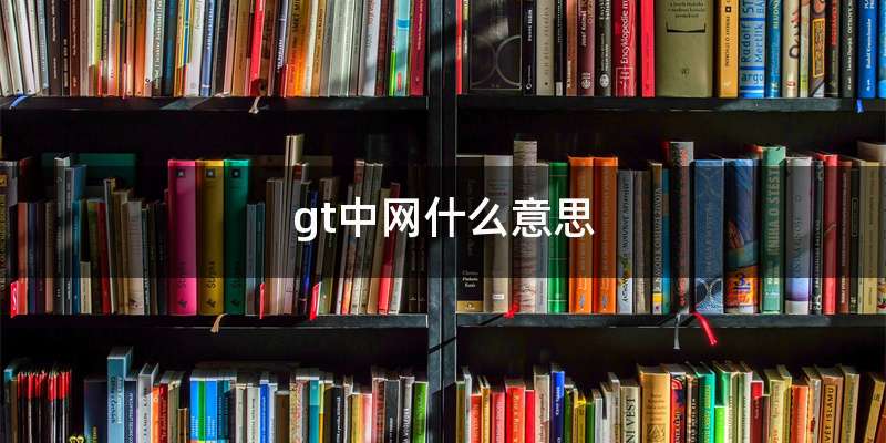 gt中网什么意思