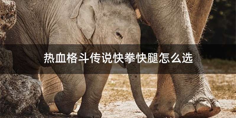 热血格斗传说快拳快腿怎么选