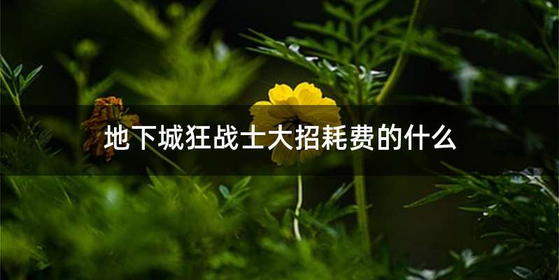 地下城狂战士大招耗费的什么