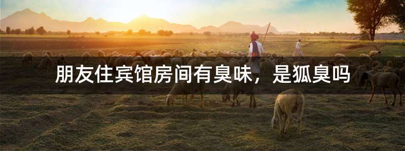 朋友住宾馆房间有臭味，是狐臭吗