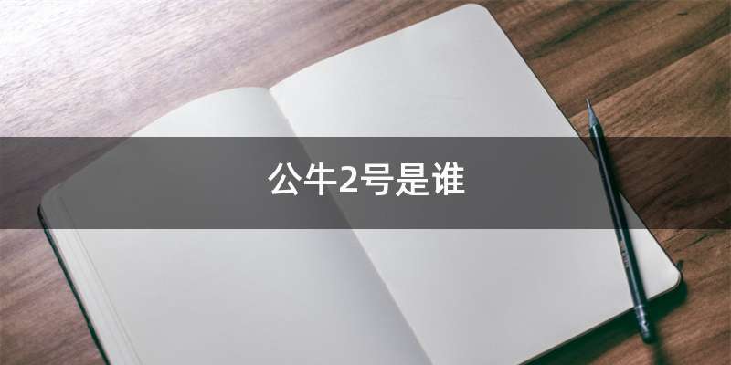公牛2号是谁
