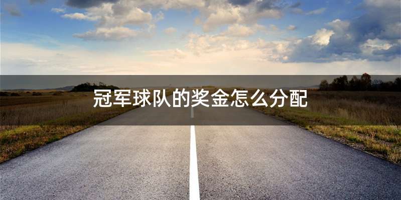 冠军球队的奖金怎么分配