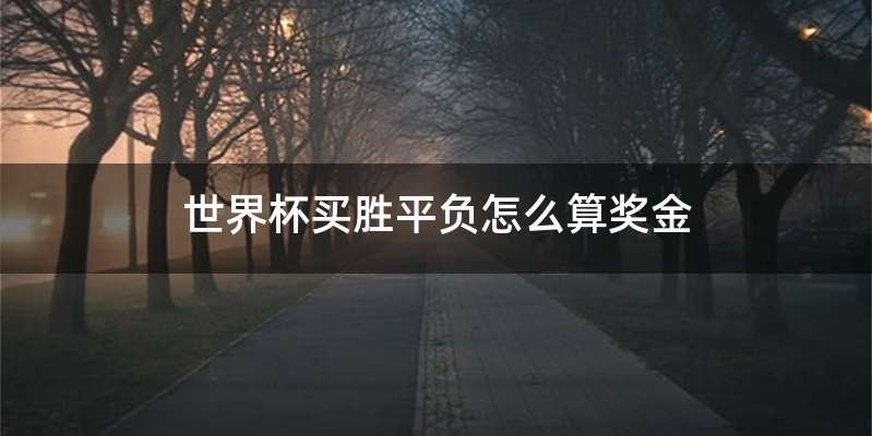 世界杯买胜平负怎么算奖金