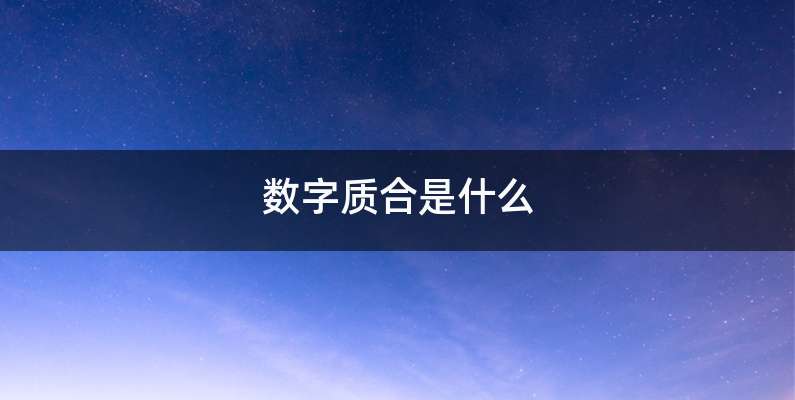 数字质合是什么