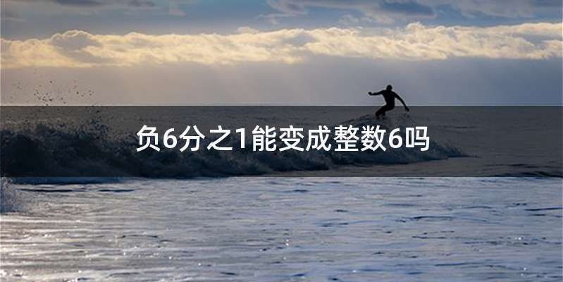 负6分之1能变成整数6吗