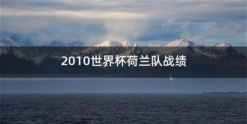 2010世界杯荷兰队战绩