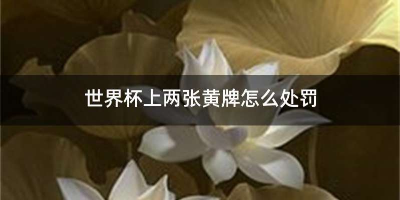 世界杯上两张黄牌怎么处罚