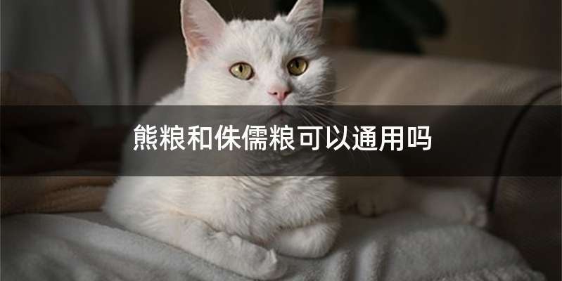 熊粮和侏儒粮可以通用吗