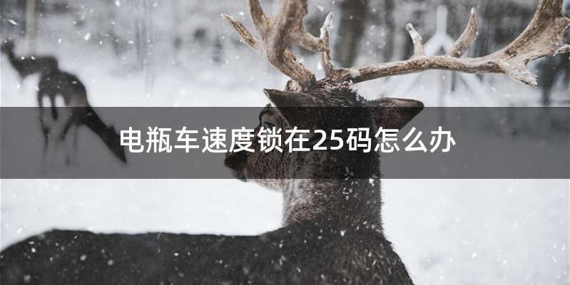 电瓶车速度锁在25码怎么办