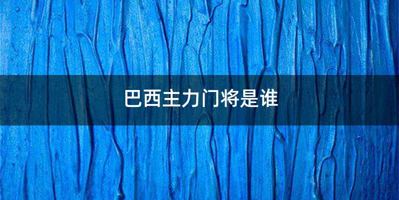 巴西主力门将是谁