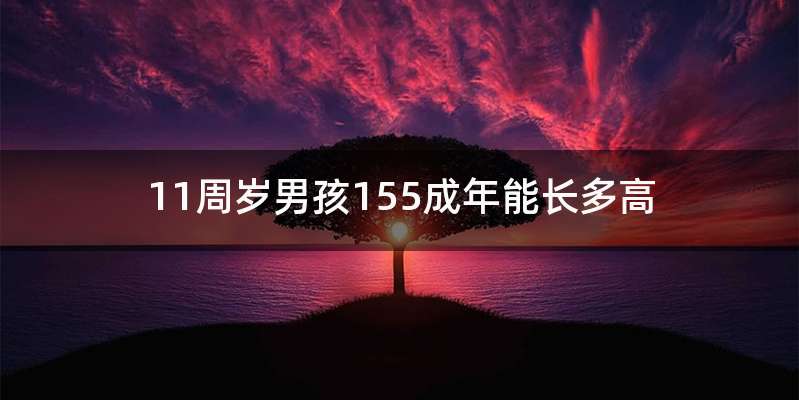 11周岁男孩155成年能长多高
