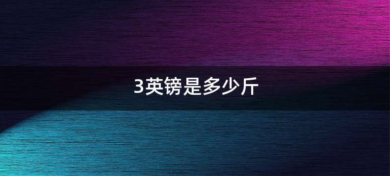 3英镑是多少斤