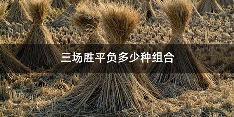 三场胜平负多少种组合