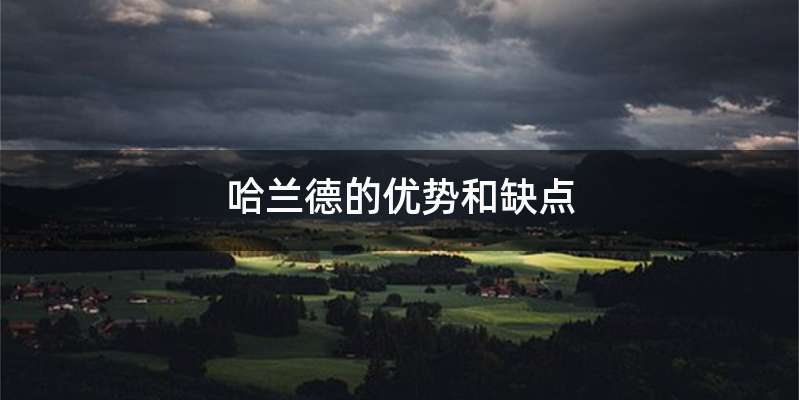 哈兰德的优势和缺点