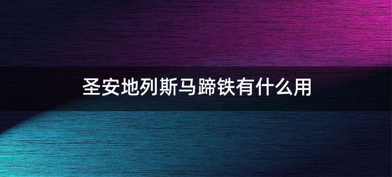 圣安地列斯马蹄铁有什么用