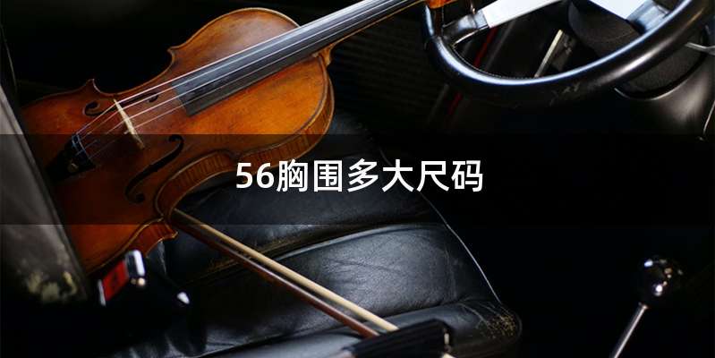 56胸围多大尺码