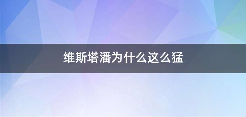 维斯塔潘为什么这么猛