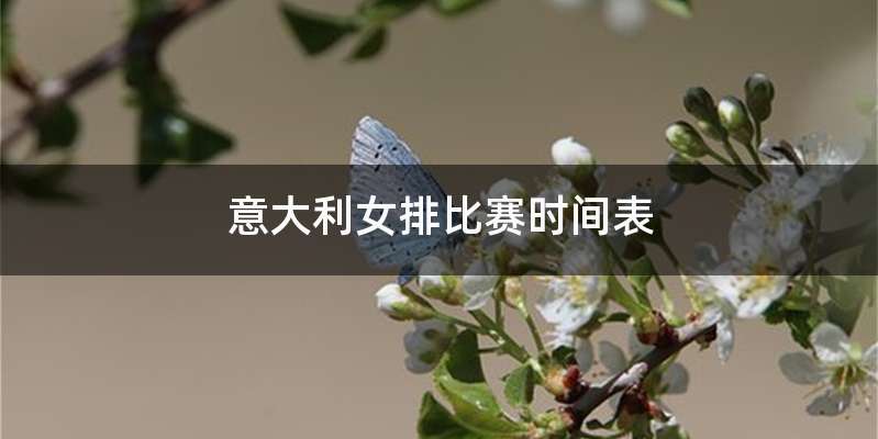 意大利女排比赛时间表