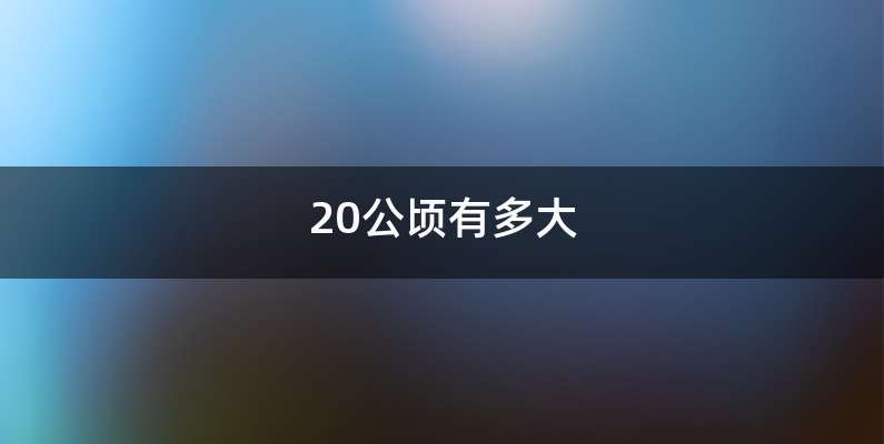 20公顷有多大